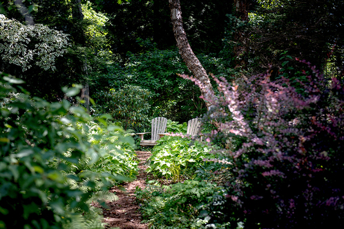 Landcraft environment od 07.06.19credit christine ashburn photography dsc 7423 edit web